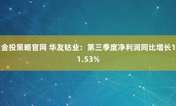金投策略官网 华友钴业：第三季度净利润同比增长11.53%