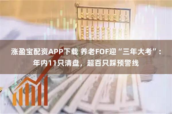 涨盈宝配资APP下载 养老FOF迎“三年大考”：年内11只清盘，超百只踩预警线