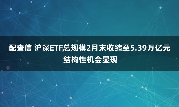 配查信 沪深ETF总规模2月末收缩至5.39万亿元 结构性机会显现