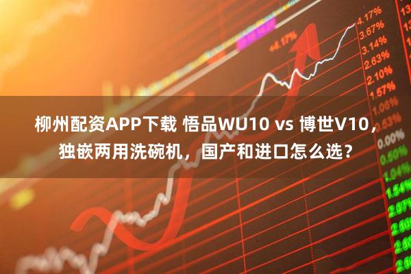柳州配资APP下载 悟品WU10 vs 博世V10,独嵌两用洗碗机,国产和进口怎么选?