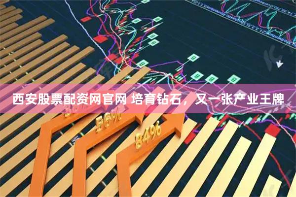西安股票配资网官网 培育钻石,又一张产业王牌