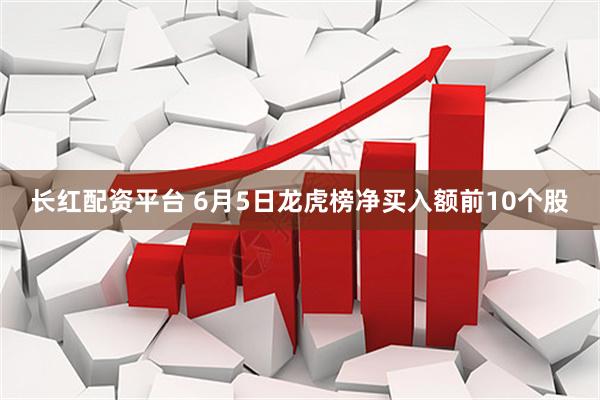 长红配资平台 6月5日龙虎榜净买入额前10个股